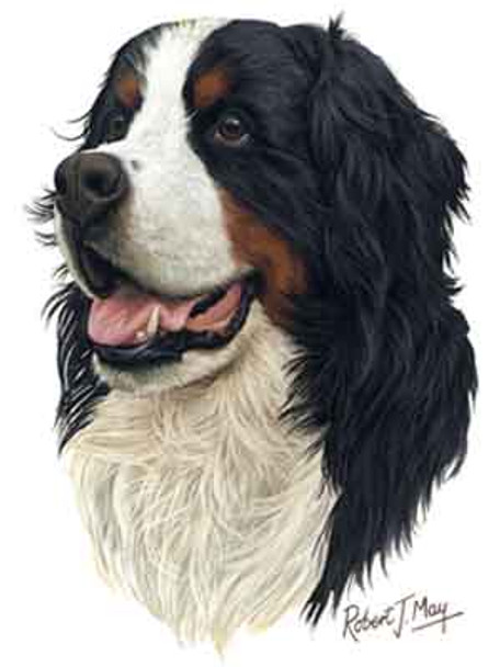 Dog Lover Greeting Cards Set Of 6 (envelopes Not Included) - Bernese Mountain Dog From Conversation Concepts