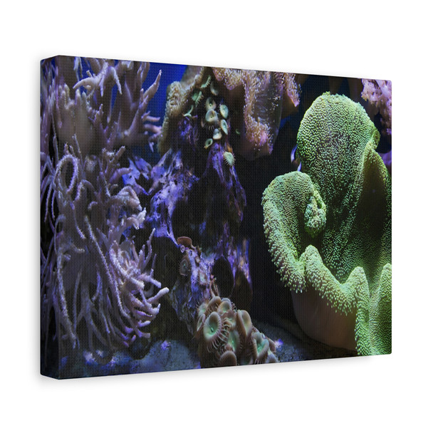 Underwater Coral Symphony: Marine Biodiversity Exploration, Vibrant Reef Ecosystem - Unframed Canvas Wall Art Decor