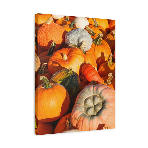 Pumpkin Harvest Showcase, Seasonal Produce Palette - Unframed Canvas Wall Art Decor 16″ x 20″ (Vertical)/1.25"