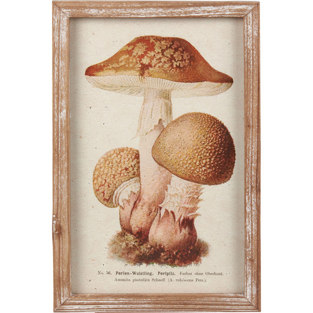 Decorative Natural Wood Framed Wall Art Decor - Wild Mushrooms 7x11 from Primitives by Kathy