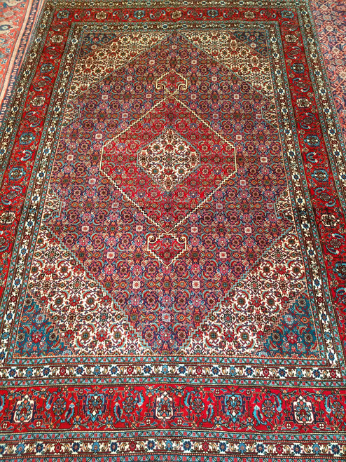 Vintage Persian Tabriz Mahi Rug 6x10 | Fish Design | Full View on Floor