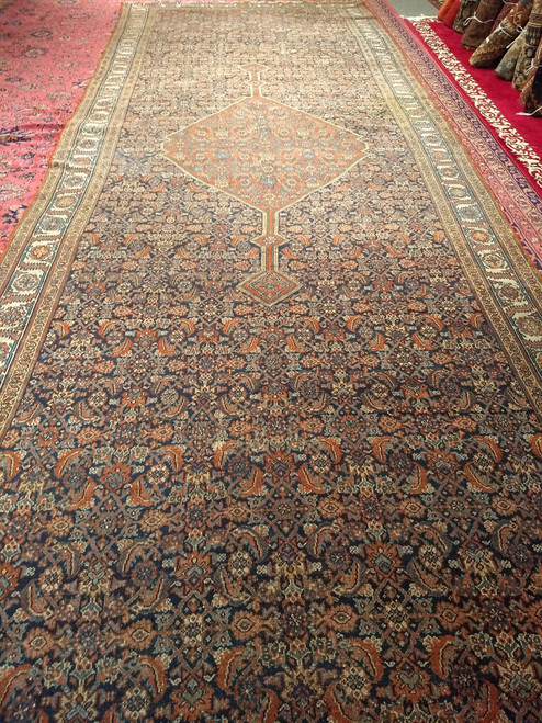 Antique Persian Farahan Rug 5x10 | Allover Herati