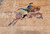 Vintage Chinese Pictorial Art Deco | Rug | Lower Section Detail