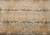 Antique European Continental Rug | Handwoven | Border Detail