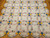 Vintage Double Wedding Ring Quilt | Handwoven | Lower Section Detail