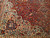 Antique Persian Kashan Rug 6x9 | Floral Medallion | Border Detail