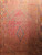 Antique Moroccan Berber Rug 5x10 | North African | Center Section Detail