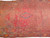Antique Moroccan Berber Rug 5x10 | North African | In-Room View 5