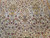 Antique Kerman Lavar Rug 11x19 | Vase Pattern | Lower Section Detail