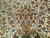 Vintage Persian Kerman Lavar in Allover Pattern in Ivory, Persian Blue. Pink, Saffron Yellow, Lavender, The Persian Knot, SKU 1552