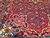 Antique Persian Bidjar Rug | Durable Village Weave | Center Field Close-Up