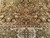 Antique Persian Farahan | Rug | In-Room View 4