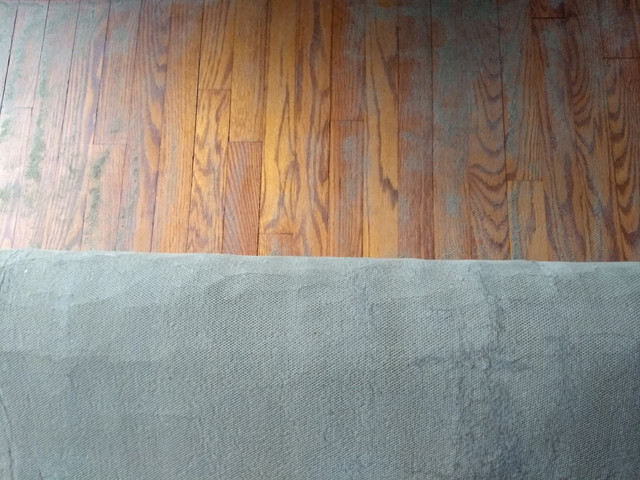 How Long Rug Pads Last?