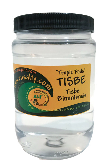 Tisbe Pods Copepods for Sale. Buy Tisbe or Tisbe biminiensis Copepods to feed mandarin fish and saltwater aquarium.