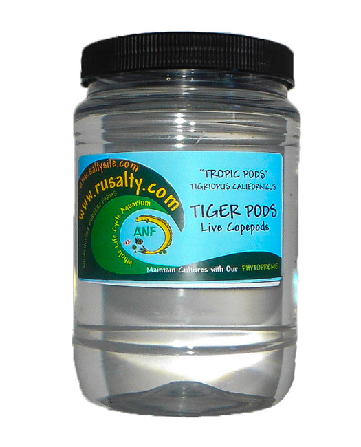 Tigger Pods For Sale Live copepods Fish Food Tiger Pods Buy Mandarin Fish Food Seahorse