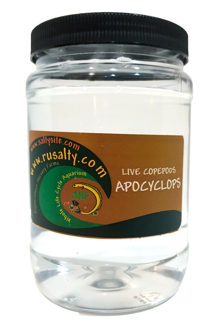 Apocyclops copepods. Live APE pods ofr sale with free shipping. Aquarium live food