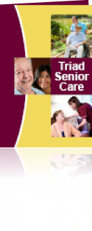 Half-Fold,11 x 17 on 100# Coated Text