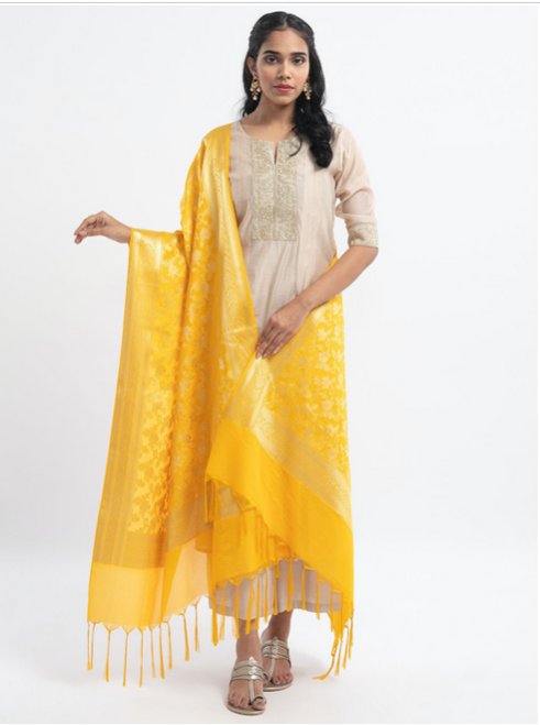 Woven Banarasi Silk Shawl (Beautiful)