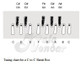 C to C Tuning option
