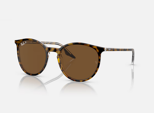 RB2204 139357/54- Havana on Transparent Polarized Brown Lenses