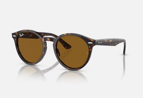 RB7680S 902/3349 - Larry Havana w/Brown Lenses