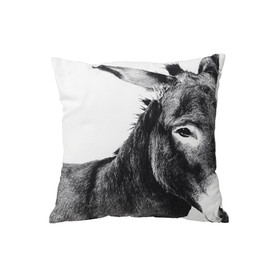 Burro Pillow
