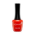 [3 Color Gel Polishes] Valentine Set