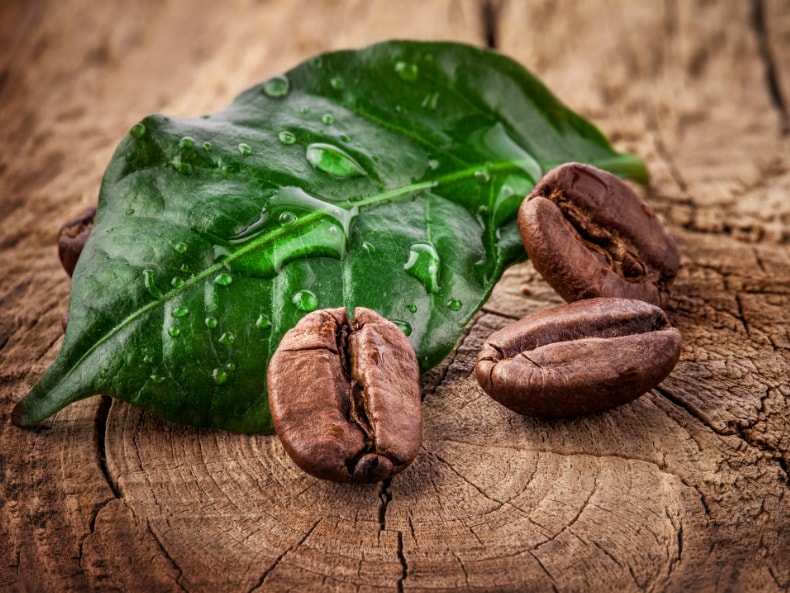 Decaf: The Swiss Water Process and why we use it.