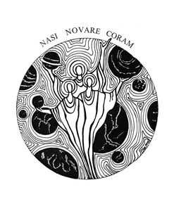 Step 296 - Nasi Novare Coram - 8 x 10 (frame-able art) Step 296 - Nasi Novare Coram - 8 x 10 (frame-able art)