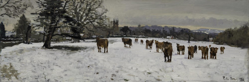 039 - Cows and Snow, Enville, Staffordshire, January 2026