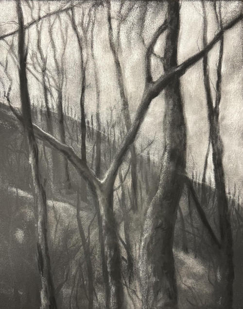 117 -  Ash Landscape After The wildfire.