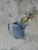 001 - Waxflower