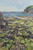 023 - Across the Rockpools