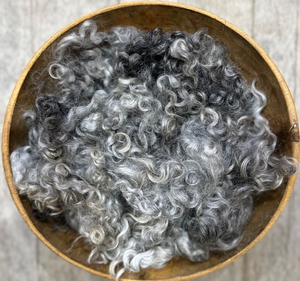 Washed Cotswold Locks-Naturally Colored