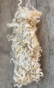 Cotswold Natural White with Lyocell & Silver Sparkle - Hand Shorn & Spun-Dirty Girl Yarns