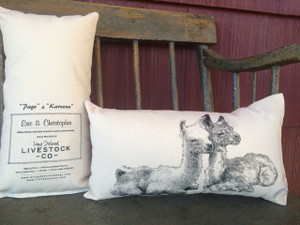 Small Pillow with "Page and Kareena"