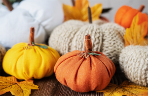 Sunken Forest Sassafras - October Colorway - Sold Out