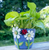Daisy Felt Planter