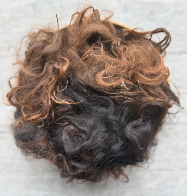 Dark Bay - Llama Fleece