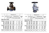 IMPA 750208 GLOBE VALVE F7305 5K 5K-250 JIS CAST IRON 250 MM 740 MM 385 MM 345 MM 12 23 MM