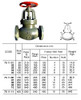 IMPA 751106 GLOBE VALVE F7353 5K 5K-150 JIS CAST IRON 150 MM 480 MM 265 MM 230 MM 8 19 MM SCREW DOWN CHECK