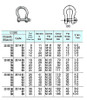 IMPA 230253 SCREW PIN BOW SHACKLE GALV. 12x12x24mm  (0,5 ton)