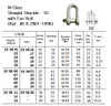 IMPA 233804 SCREW PIN D-SHACKLE GALV. 25x25x50mm  (2,1 ton)