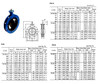 IMPA 754483 BUTTERFLY VALVE PN10 720F 250 MM NODULAIR CAST IRON SS NBR DIN 110 MM 406 MM 350 MM 12 23 MM DOUBLE FLANGED WITH GEARBOX