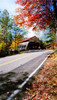Autumn Covered Bridge Backdrop