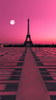 Rose Colored Paris Backdrop