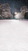 Winter Park Backdrop