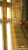 French Ballroom Backdrop Tall