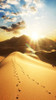 Dunes Backdrop