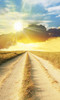 Sunburst Road Backdrop